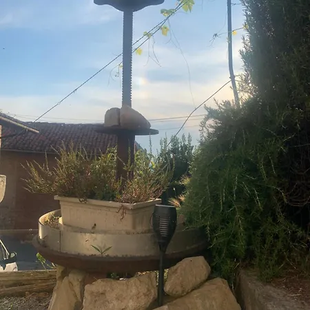 Tra Langhe E Monviso *